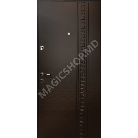 Usa exterior DT 2E (2050x860x70mm)